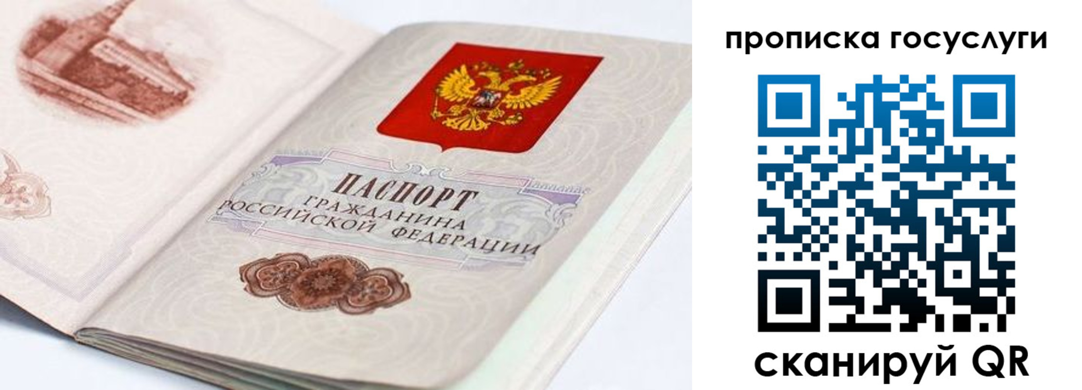 прописка гарантия в Калининске